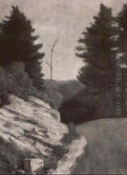 Road Through Pine Forest - view 1