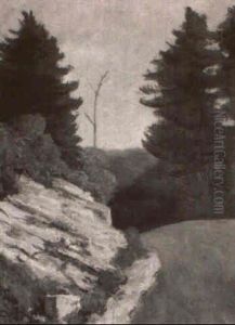 Road Through Pine Forest