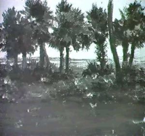 Early Morning Among The Cabbage Palms, Florida by Walt Kuhn