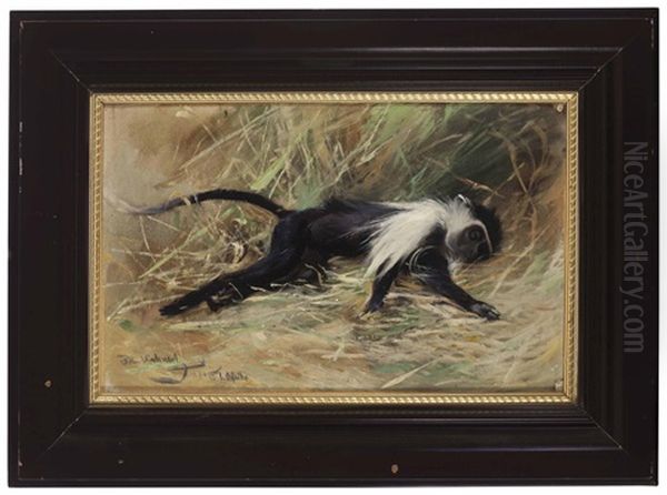 A Sleeping Monkey - view 1