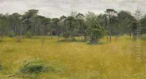 Kiefernwald Auf Der Schareninsel Rano Vor Stockholm by Wilhelm Friedrich Kuhnert