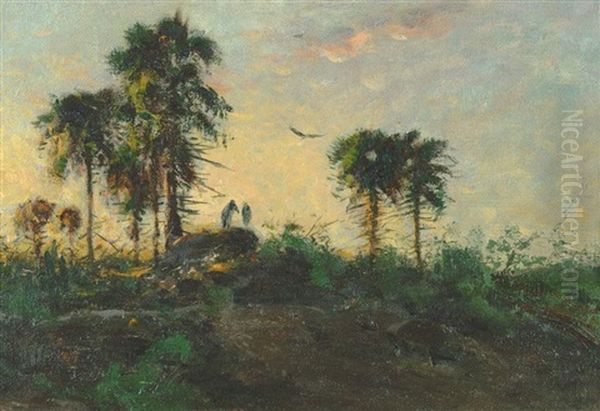 Tropenabend - view 1