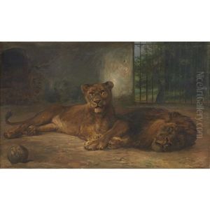 Lions At Rest by Wilhelm Friedrich Kuhnert