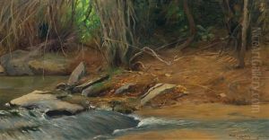 A Primeval Forest Spring