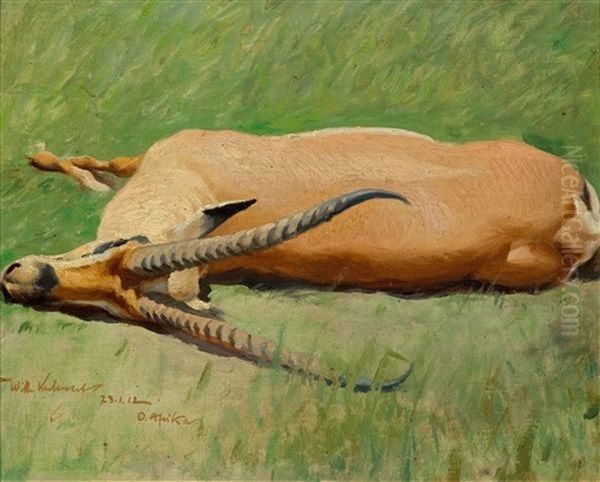 A Outstretched Grant's Gazelle - view 1