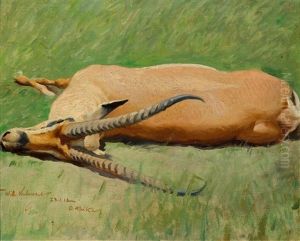 A Outstretched Grant's Gazelle