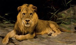 Lowe Von Der Hohle (lion In A Cave)