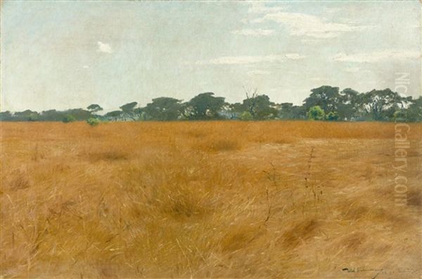 African Steppe - view 1
