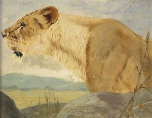 Kopf Einer Lowin by Wilhelm Friedrich Kuhnert