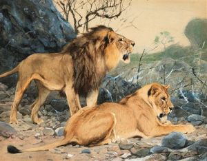 Pair Of Lions Crouching In Wait by Wilhelm Friedrich Kuhnert