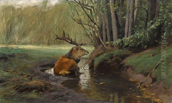 Hirsch In Der Suhle - view 1