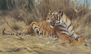 A Tiger by Wilhelm Friedrich Kuhnert