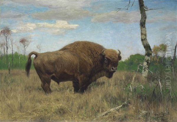 A Bison - view 1