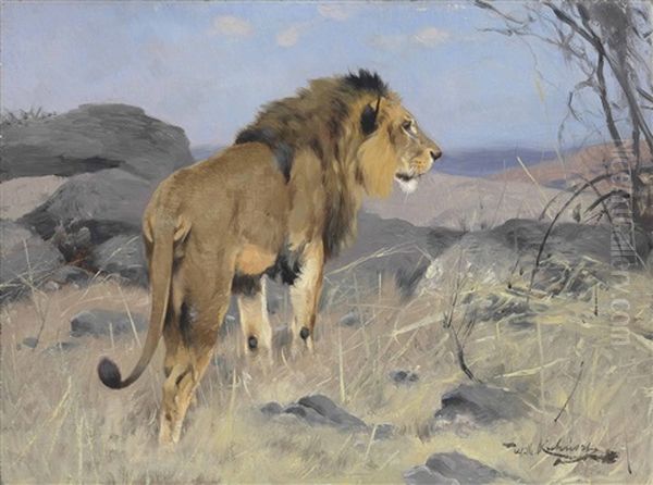 The Lion - view 1