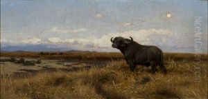 Cape Buffalo by Wilhelm Friedrich Kuhnert