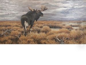Moose In The Swedish Highlands