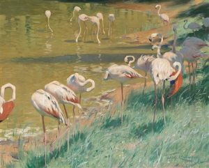 Flamingos