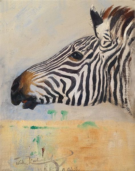 Ein Zebra - view 1