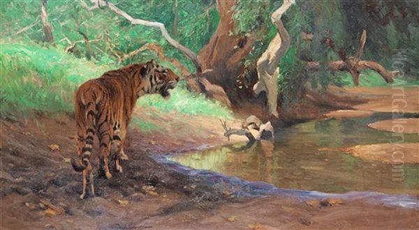 Tiger Am Dschungelbach - view 1