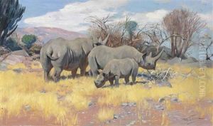 A Group Of Rhinoceros