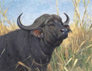 A Buffalo by Wilhelm Friedrich Kuhnert
