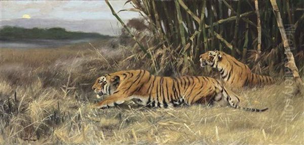 Two Stalking Tigers - view 1