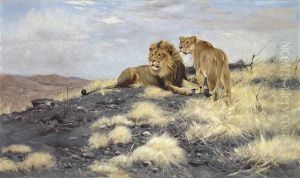 A Lion And A Lioness by Wilhelm Friedrich Kuhnert