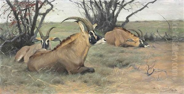 Roan Antelopes Resting In The Shade - view 1