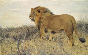A Lion by Wilhelm Friedrich Kuhnert
