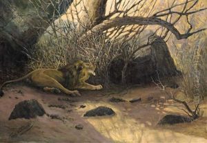 Lion In A Thorny Bush