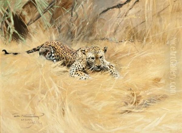 Leopard - view 1