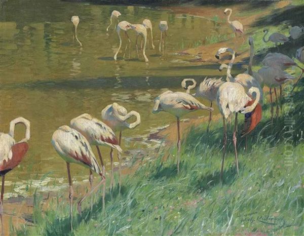 A Flock Of Flamingos - view 1