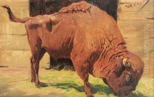 Buffalo by Wilhelm Friedrich Kuhnert