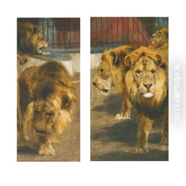Lions (pair) - view 1