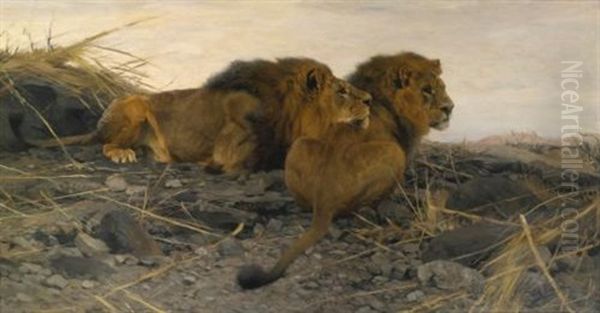 Spahende Lowen (lions At Watch) - view 1