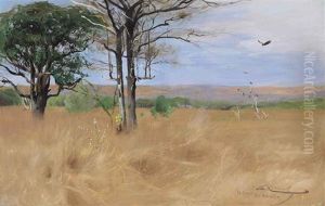 Ost Africa by Wilhelm Friedrich Kuhnert