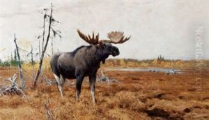 Moose
