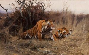 Roused, A Tiger And Tigress