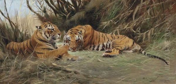 Tigers At Dawn - view 1