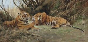 Tigers At Dawn