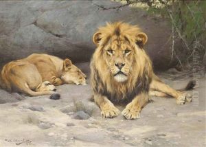 Siesta