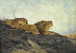 Lion And Lioness In A Rocky Landscape by Wilhelm Friedrich Kuhnert