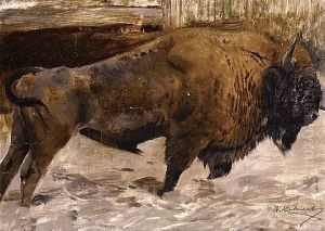 A Study Of A Buffalo by Wilhelm Friedrich Kuhnert