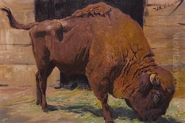 A Buffalo Outside A Barn - view 1