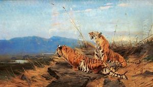 Tigers On The Prowl
