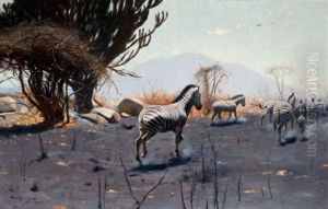 Zebras