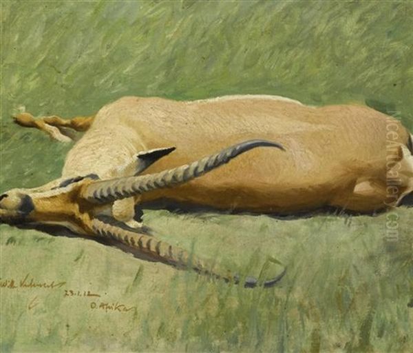 Gestreckter Grantgazellenbock - view 1