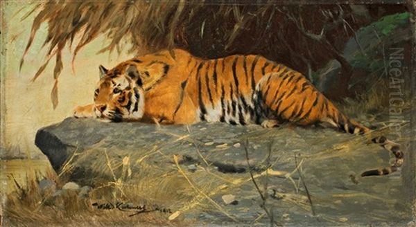 Auf Felsplateau Liegender Tiger - view 1