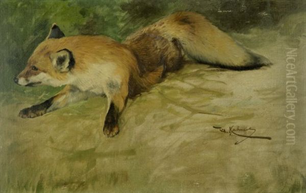 Liegender Fuchs - view 1