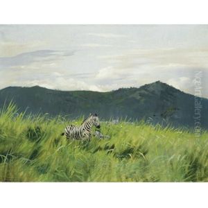 Zebras In Der Steppe - Zebra On The Steppe
